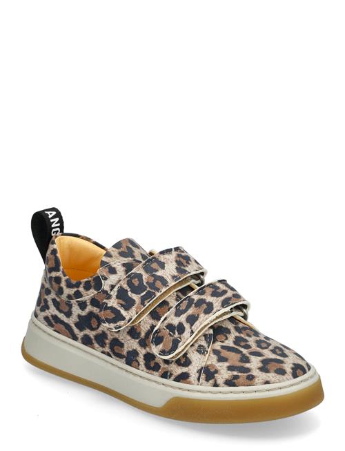 Shoes - Flat - With Velcro ANGULUS Beige