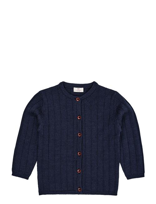 Merino Knitted Cardigan Copenhagen Colors Navy