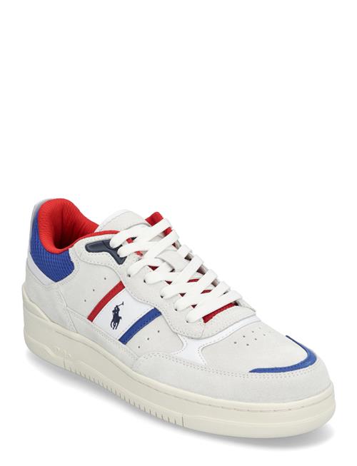 Masters Sport Suede Sneaker Polo Ralph Lauren White