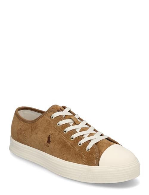 Ayers Suede Low-Top Sneaker Polo Ralph Lauren Brown