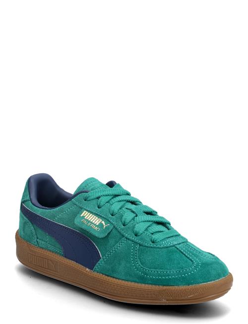 Palermo Jr PUMA Blue