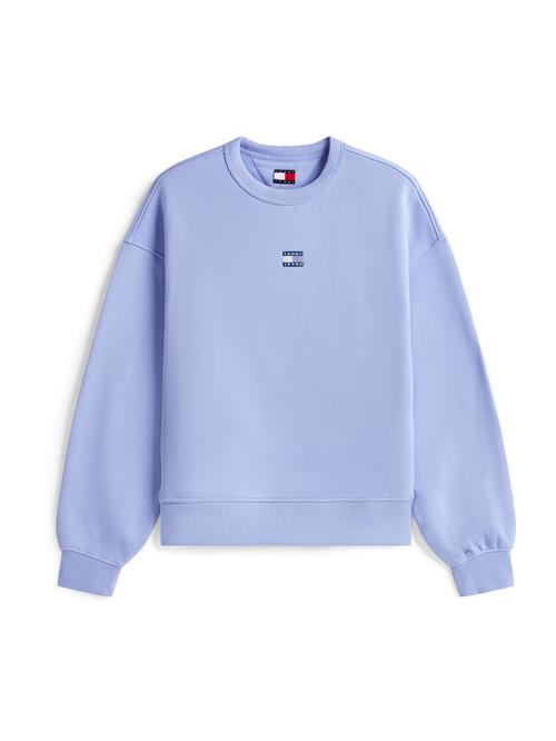 Tommy Jeans Sweatshirt  navy / lyseblå