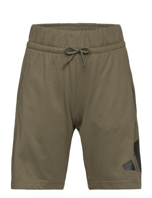 J Bl Kn Sh 210 Adidas Sportswear Khaki