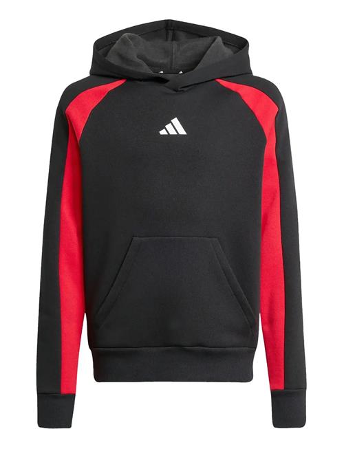 J Cb Fl Hd Adidas Sportswear Black