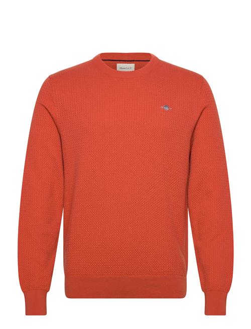 Textured Cotton C-Neck GANT Orange