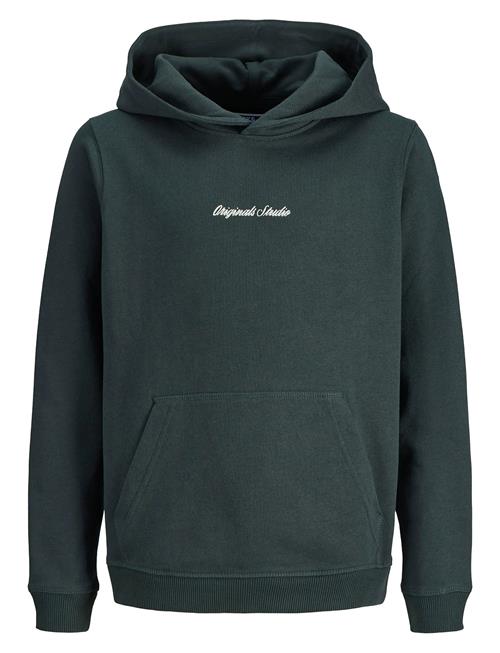 Jack & Jones Jornorrebro Emb Sweat Hood Noos Jnr Jack & J S Khaki