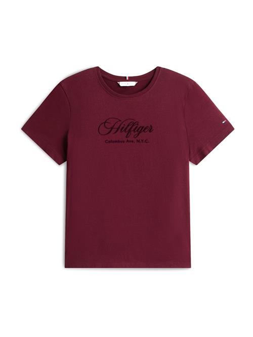TOMMY HILFIGER Shirts  bordeaux / sort