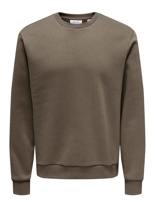 Onsceres Crew Neck Noos ONLY & SONS Brown