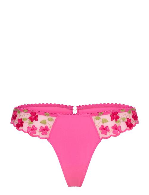 Amour - Tanga Etam Pink