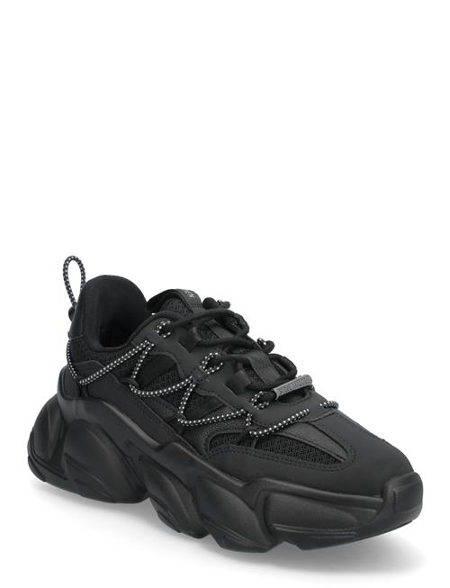 Spectator Steve Madden Black