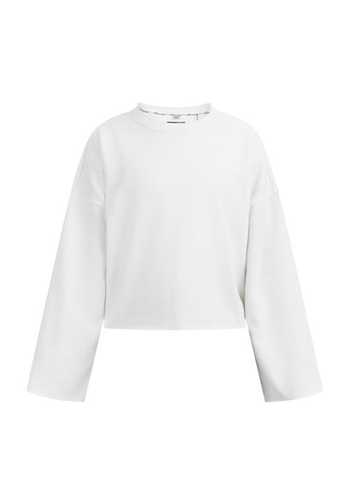 DreiMaster Vintage Sweatshirt 'Idem'  uldhvid