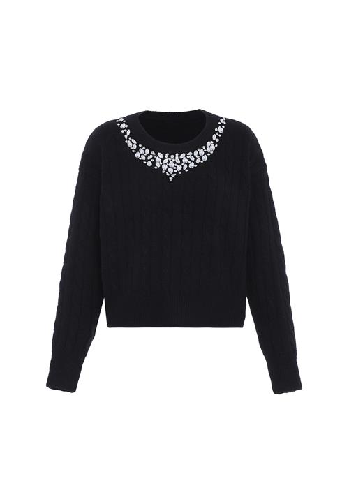 faina Pullover  sort / transparent