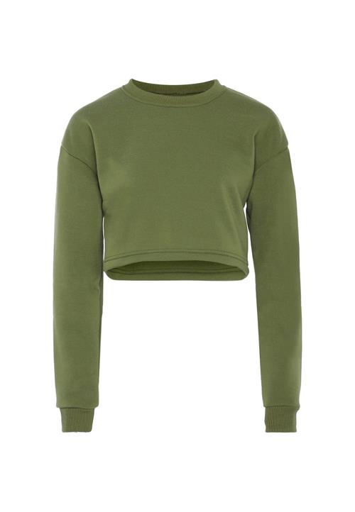 BLONDA Sweatshirt  grøn