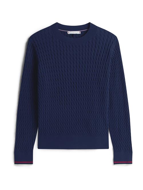 TOMMY HILFIGER Pullover  marin
