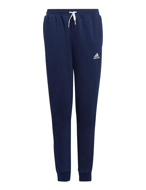 Ent22 Sw Pnty Adidas Performance Navy