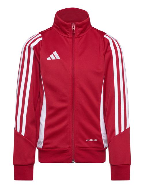 Tiro24 Trjkty Adidas Performance Red
