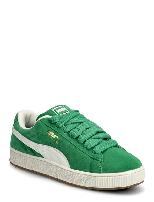 Suede Xl PUMA Green