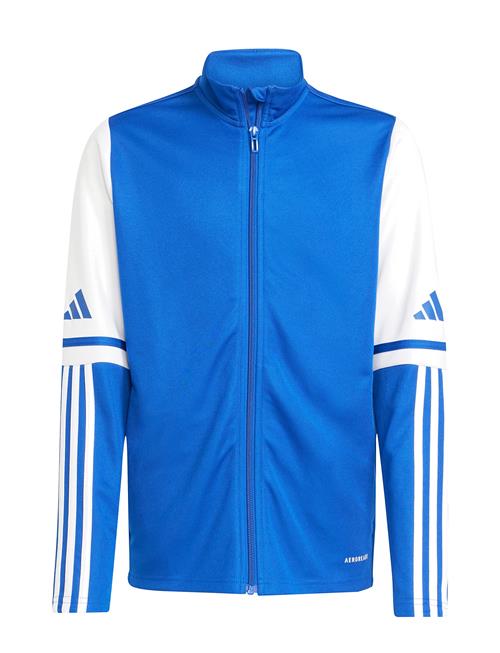 Sq25 Tr Jkt Y Adidas Performance Blue