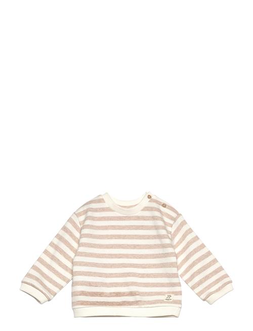 Striped Cotton-Blend Sweatshirt Mango Brown