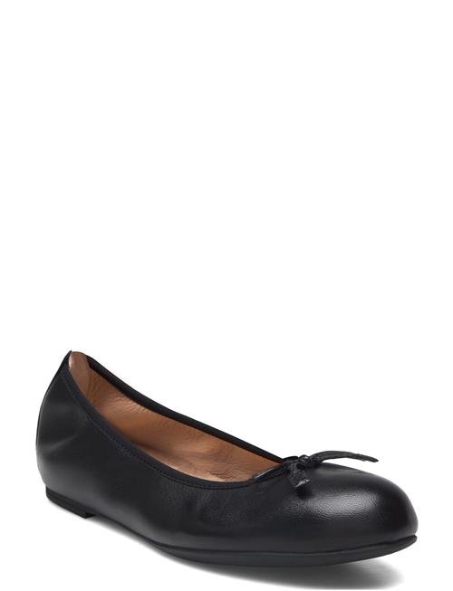 Acor_F24_Nto UNISA Black