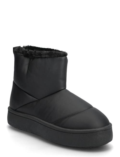 Cale W Exani Black