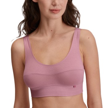 Calida BH Elastic Top Lyseviolet bomuld X-Small Dame