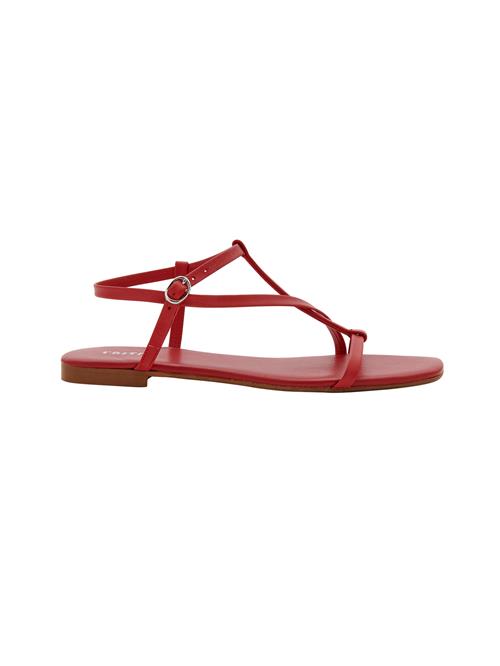 EDITED Sandaler med rem 'Toyah'  rød