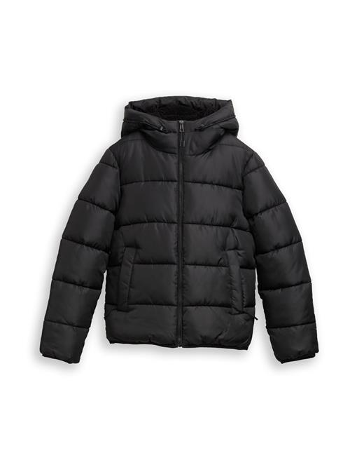 TOM TAILOR DENIM Vinterjakke  sort