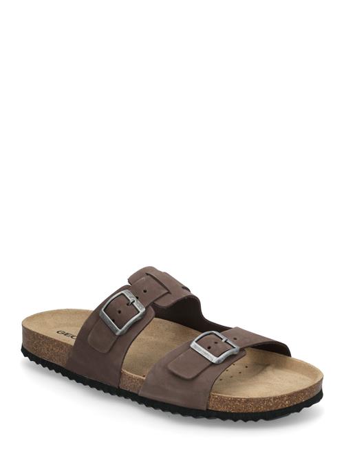 U Sandal Ghita B GEOX Brown