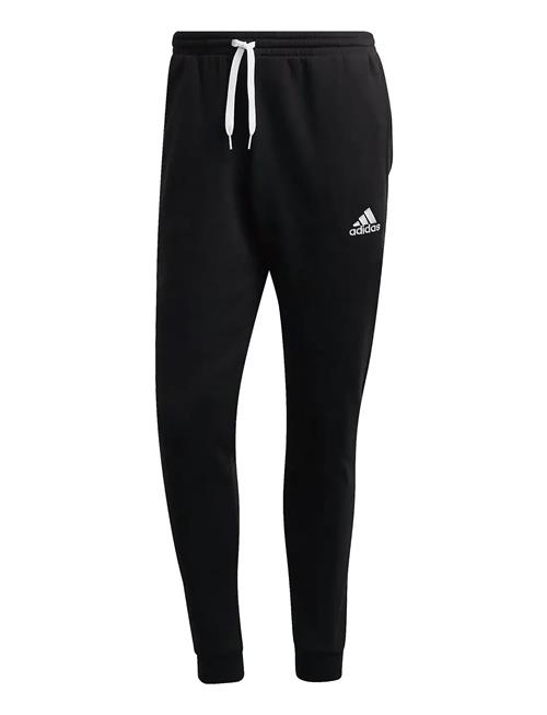 Ent22 Sw Pnt Adidas Performance Black