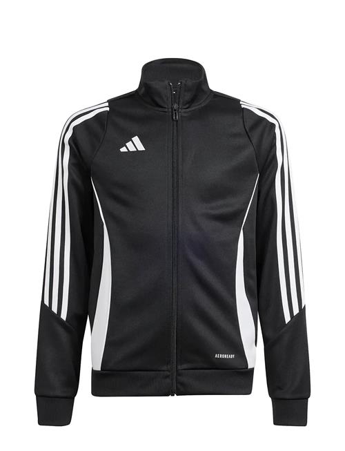 Tiro24 Trjkty Adidas Performance Black