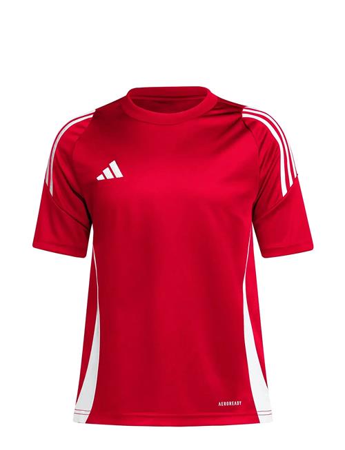 Tiro24 Jsyy Adidas Performance Red