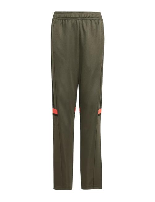 Sq25 Tr Pnt Y Adidas Performance Khaki