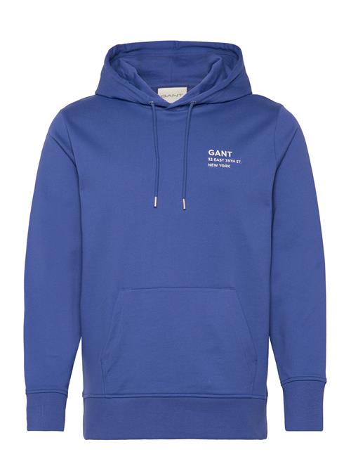 Small Graphic Sweat Hoodie GANT Blue