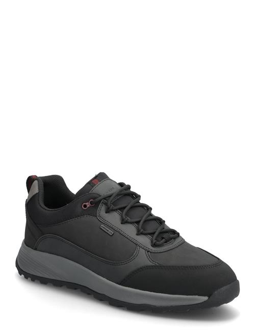 U Terrestre B Abx A GEOX Black
