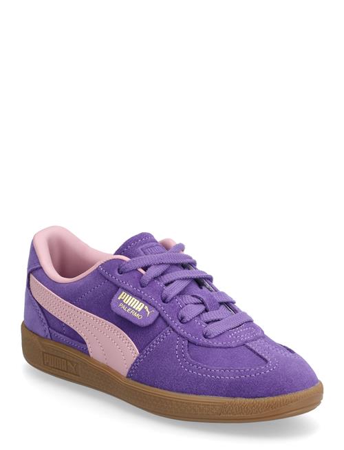 Palermo Ps PUMA Navy