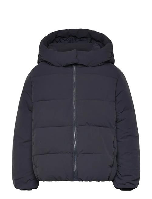 Hood Quilted Coat Mango Black
