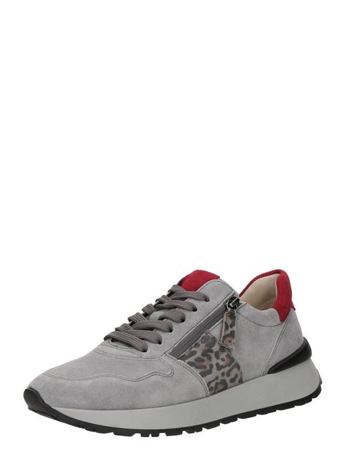 GABOR Sneaker low  brun / grå / rød / sort