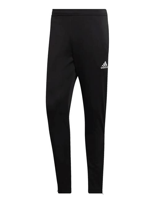 Ent22 Tr Pnt Adidas Performance Black