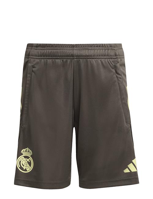 Real Tr Sho Y Adidas Performance Khaki