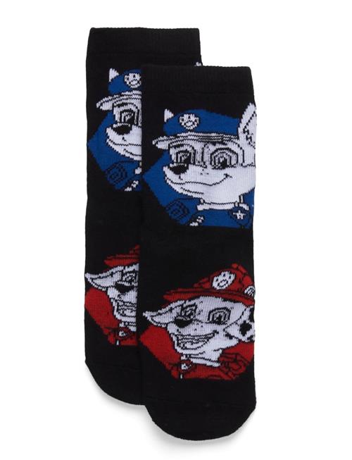 Socks Paw Patrol Navy