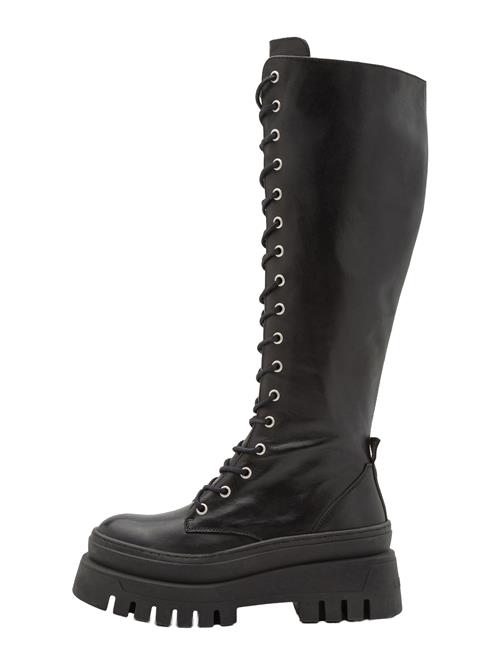 STEVE MADDEN Snørestøvler 'Carina'  sort
