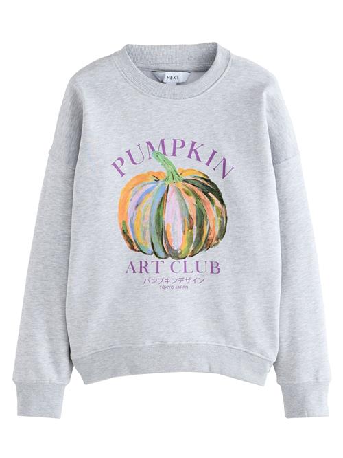 Next Sweatshirt 'Halloween'  grå / mørkegrøn / lilla / orange