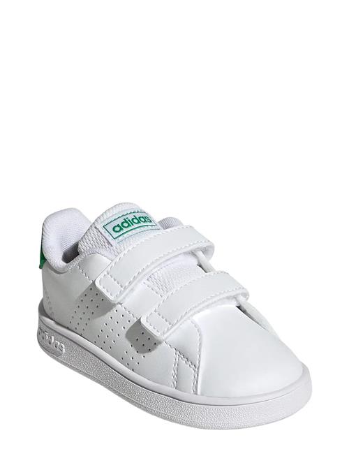 Advantage Cf I Adidas Sportswear White