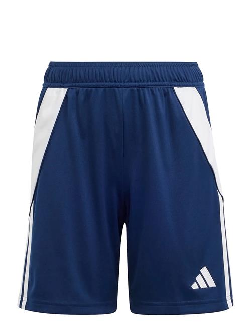 Tiro24 Sho Y Adidas Performance Blue