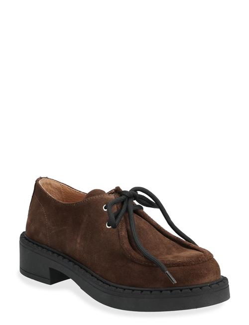 Evelyn Suede Pavement Brown