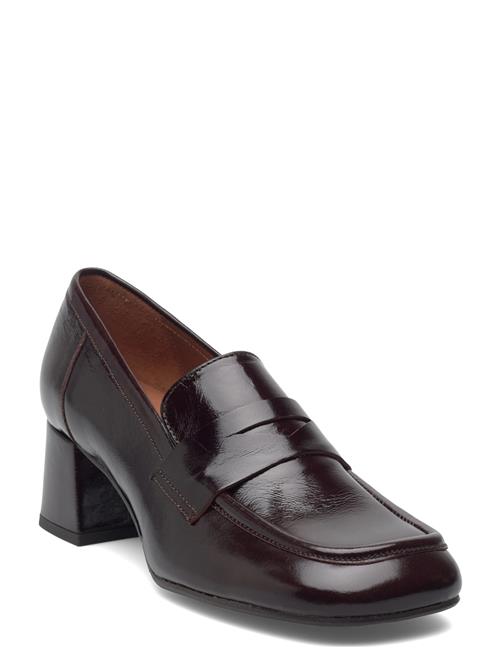 Pumps Billi Bi Brown