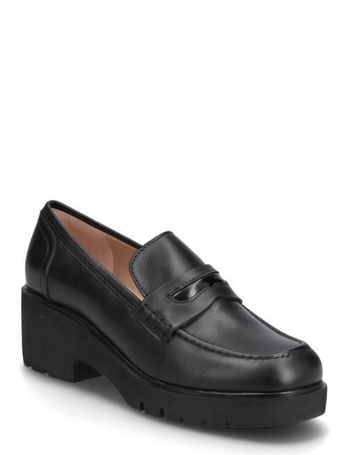 Jazielstt UNISA Black