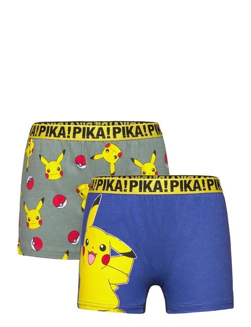 Boxer Pókemon Khaki