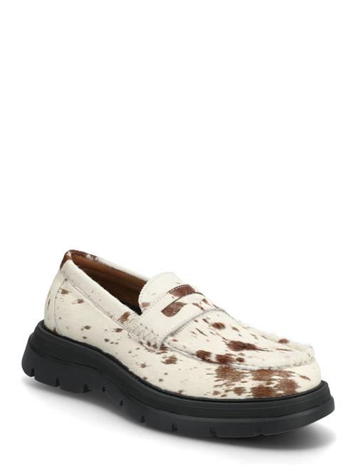 Raiden Steve Madden Brown